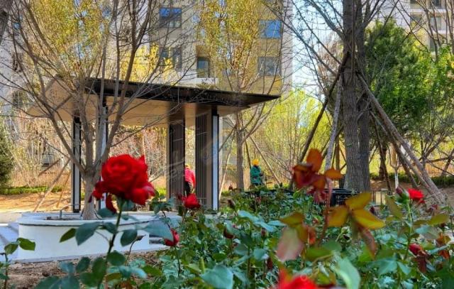 2023.05���^�����D