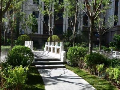 ���������D