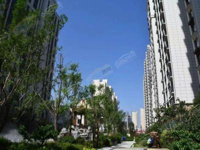 ���������D