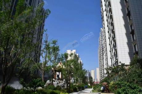 ���������D