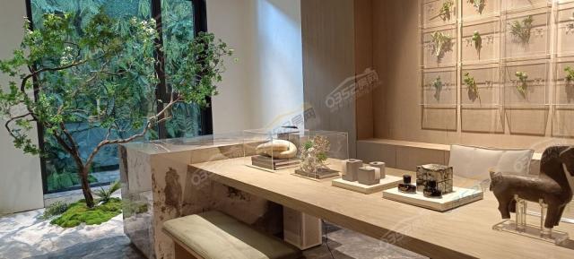 �Ӱ��g�����_