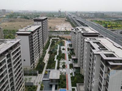 2023.05���Č����D