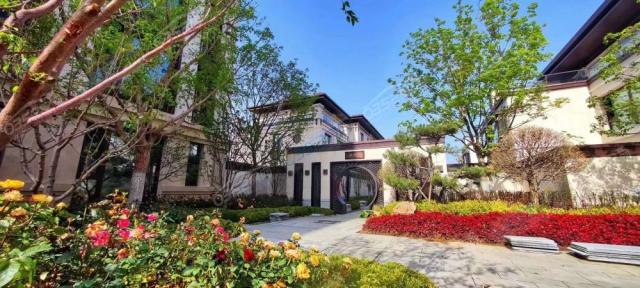 �@�Ȍ����D