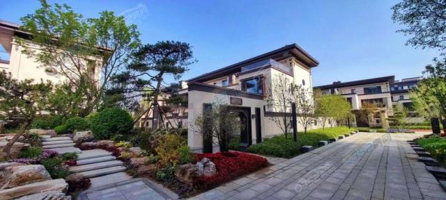 �@�Ȍ����D