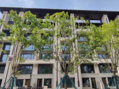 2023.05��18#���깤