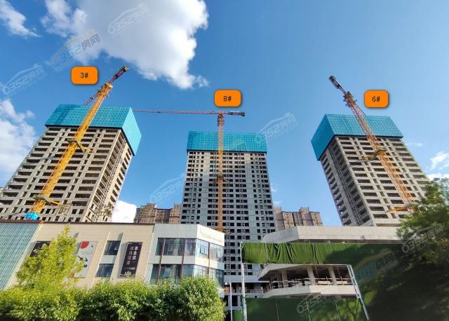 2023.06�����D