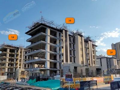 2023.06���Ȍ��ĈD