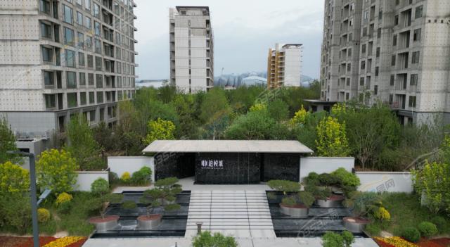 2023.06����(c��)���T�����D