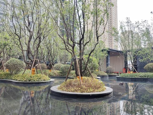 2023.06.18�����@�֌����D