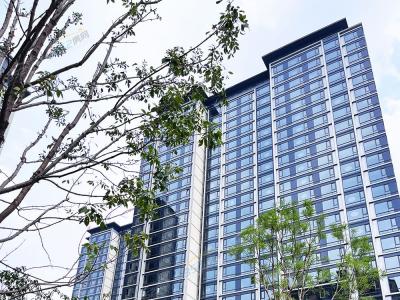 2023.06.18���������D