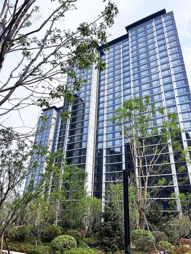 2023.06.18���������D