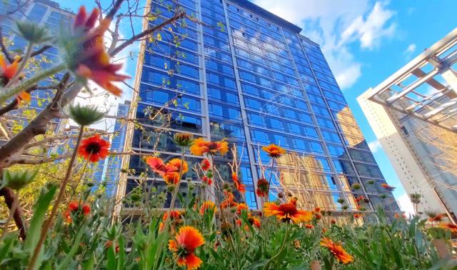 2023.06.18���������D