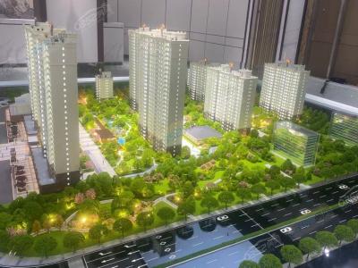 ɳ�P�����D