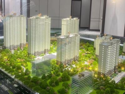 ɳ�P�����D