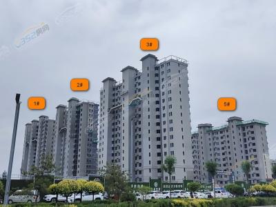 2023.7.4���Ȍ����D