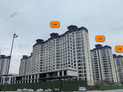 2023.7.4���Ȍ����D