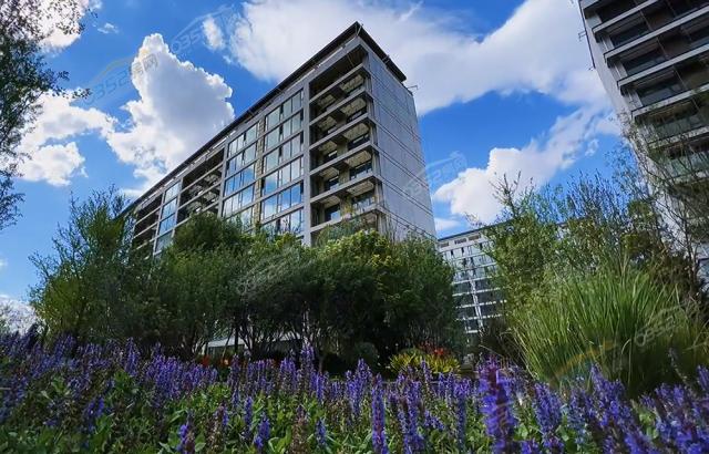 2023.07�����D