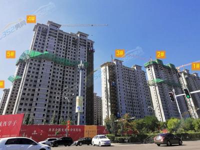 2023.7.20���νY�����O