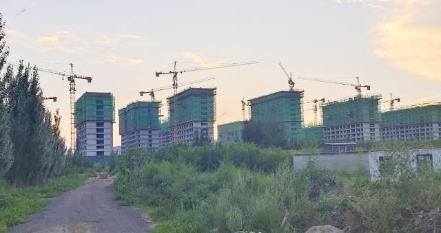 2023.8.10�Ֆ|��(c��)�����D