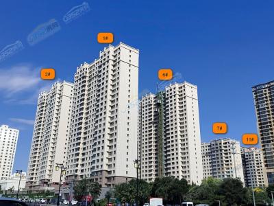 2023.8.25�Ռ����D