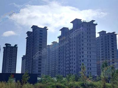 2023.9.10���Ȍ����D