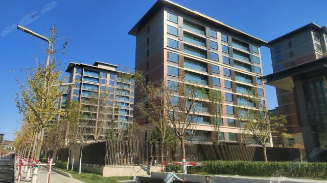 2023.10.15�Ռ����D