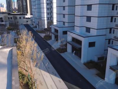 2023.11�����D