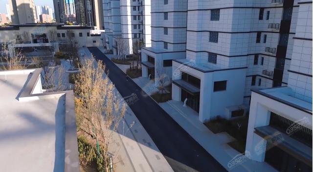 2023.11�����D