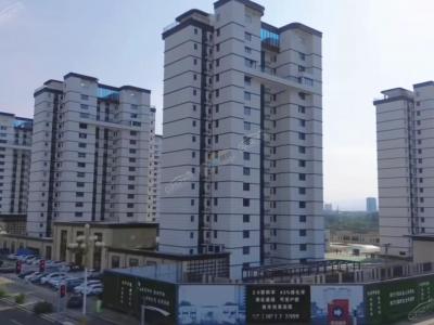 2023.11�����D