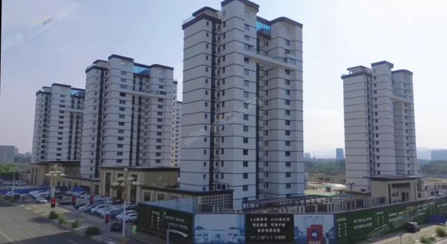 2023.11�����D