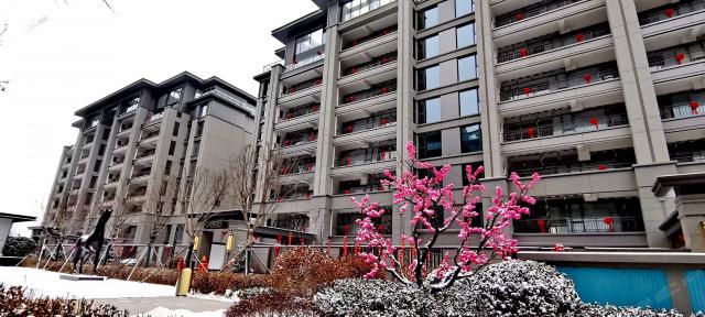 2023.12.12������(sh��)���D