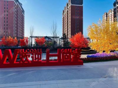 2024.1.6������(sh��)���D