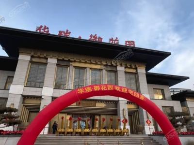 2024.1.9�ս��������D