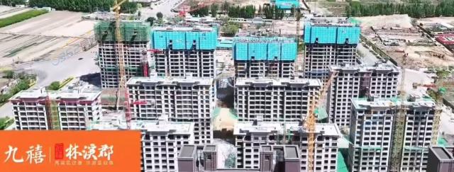 2024.05��ȫ�����