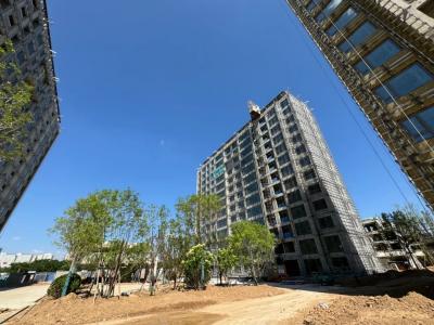 2024.06�ߌӌ����D