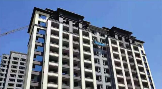 2024.08�����D