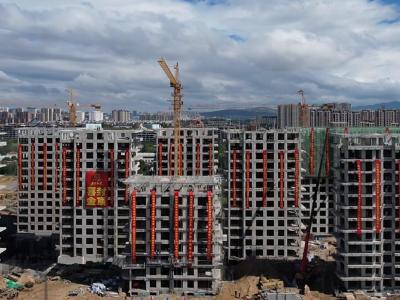 2024.8.12��ȫ�����