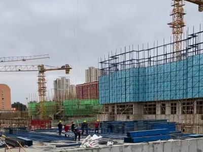 2024��9�����D