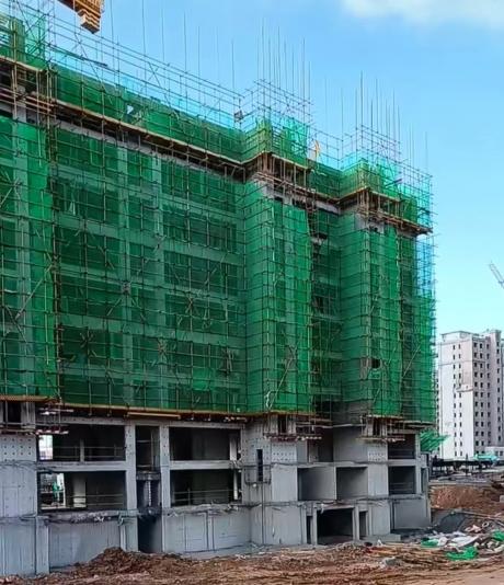 2024.10�����D