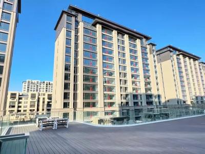 2024.11.16���ڽ��������D