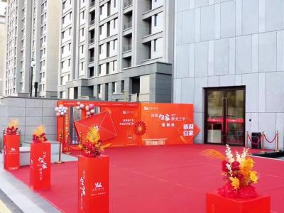 2024.11.16���ڽ��������D