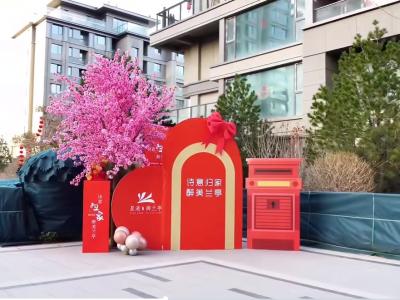 2024.11.16���ڽ��������D