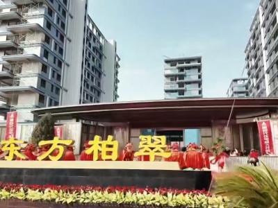 �ۘ����Č����D