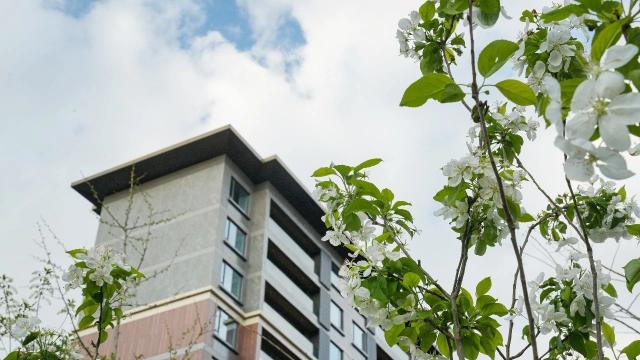 2025.3.28���\ɽ�@���������D