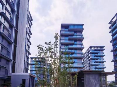 2025.6.29���������D