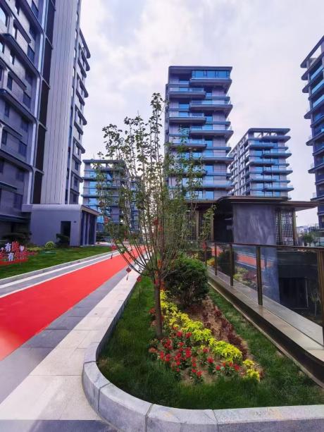 2025.6.29���������D